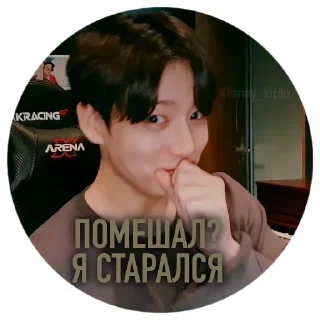 Sticker АРМИ-КИЦИКИ @army_kiciki - 8