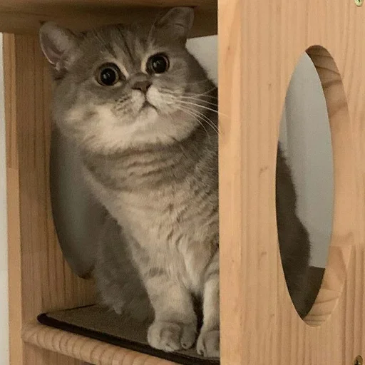 Sticker OMUC pack by @nickbigpic - 11