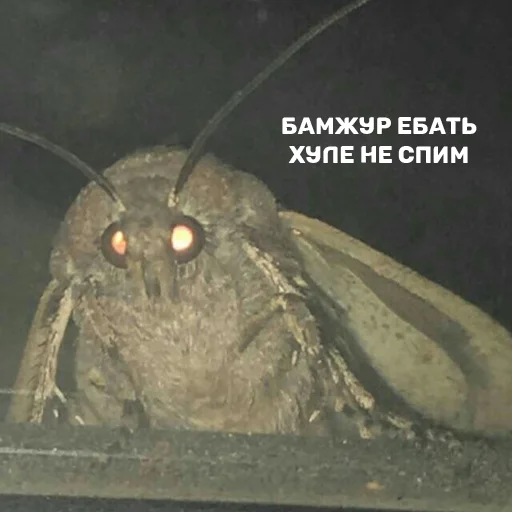 Sticker OMUC pack by @nickbigpic - 7