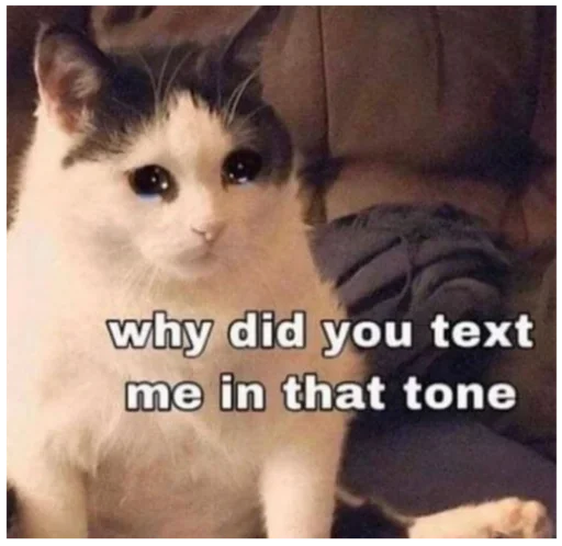 Sticker чиво [@stickersff]😵‍💫 - 0