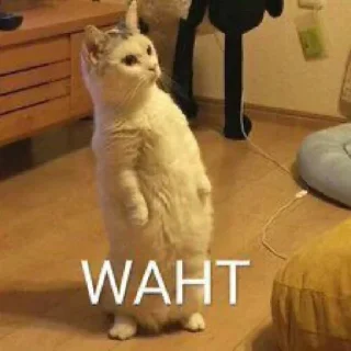 Sticker @muz_meliccano 👈 Тут кайф 🎧 - 8