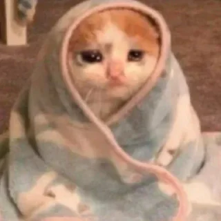 Sticker @muz_meliccano 👈 Тут кайф 🎧 - 2