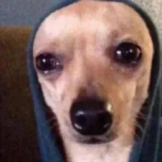 Sticker @muz_meliccano 👈 Тут кайф 🎧 - 3