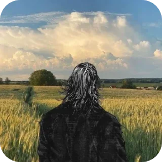 Sticker Legend's @StickersDVM2 - 2