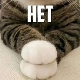 Sticker CumBack Sticker's - 3