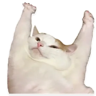 Sticker CumBack Sticker's - 8