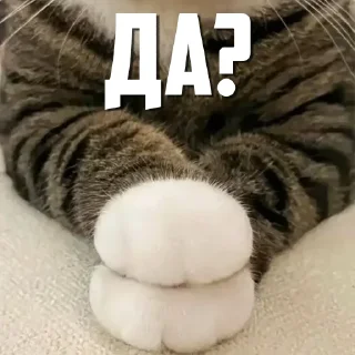 Sticker CumBack Sticker's - 6