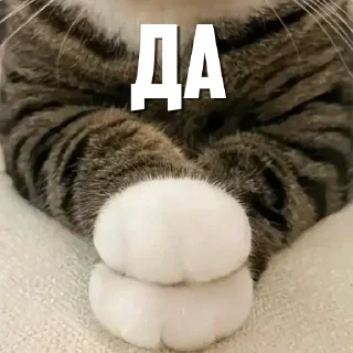 Sticker CumBack Sticker's - 9