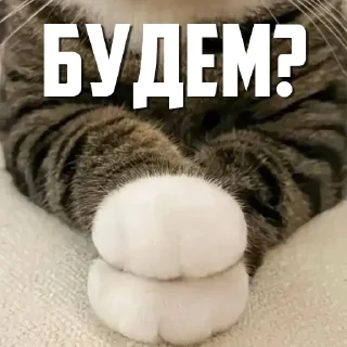 Sticker CumBack Sticker's - 10