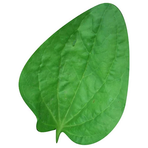 Sticker Любимые Стикеры Твоей Мамаши - 6