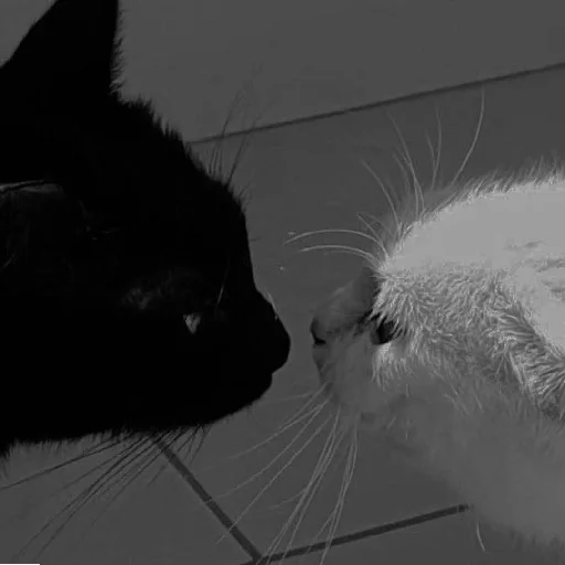 𝐥õ𝐯ę               @stickerslovez - 