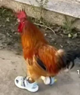 Sticker Чушпанчики @TgEmodziBot - 7