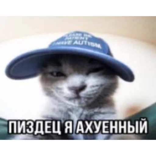 Sticker stickerszs01 - 1