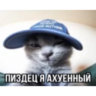 Стикер stickersz01 //;0 @issanel - 6