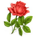 Sticker Sticker TV® LOVE - 5