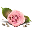 Sticker Sticker TV® LOVE - 9