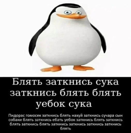 СМС водная птица пингвин