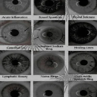 Стикер «⩉  𖥻 ִ ۫ @channel_leviiakkerrman ⋆ 🩹 ° 🤍 ⸼❕» - 1
