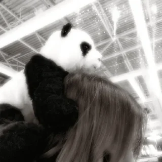 Стикер «⩉  𖥻 ִ ۫ @channel_leviiakkerrman ⋆ 🩹 ° 🤍 ⸼❕» - 6