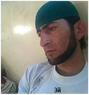 Sticker @wlfrlinks - 0