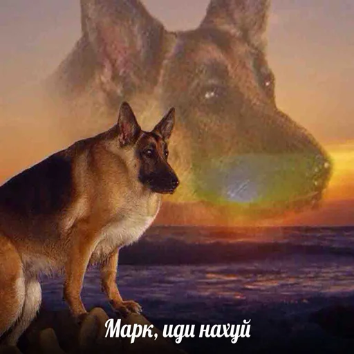 mammal animal painting