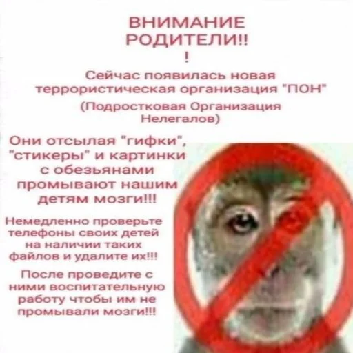 Sticker @nedo_coder 's sticker pack - 5