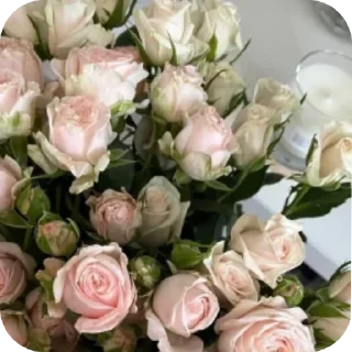 Sticker @St1kersG   a.k.a the meaning of life - 4