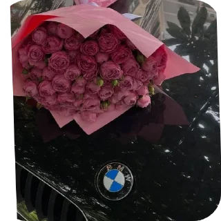 Sticker @St1kersG   a.k.a the meaning of life - 11