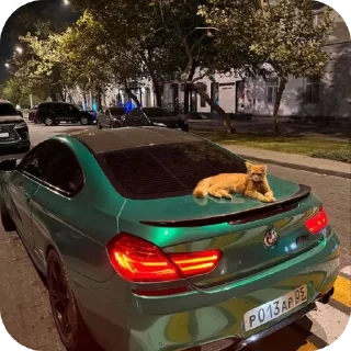 Sticker @St1kersG   a.k.a the meaning of life - 8