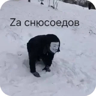 Sticker #АНТИ_КВД #Za_snysoedov - 3