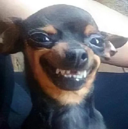 Хз @SozdaiStickeriBot - 