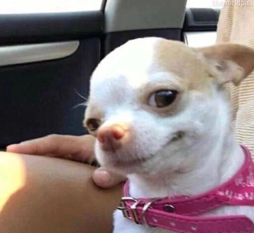 Sticker sticks_khz_by_SozdaiStickeriBot - 1