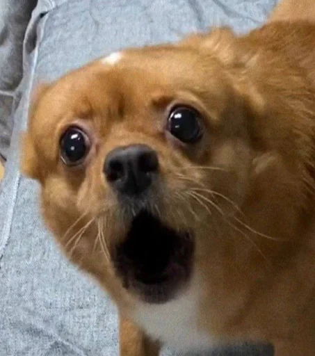 Sticker sticks_khz_by_SozdaiStickeriBot - 1