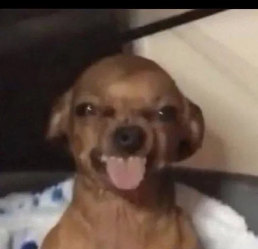 Sticker sticks_khz_by_SozdaiStickeriBot - 1