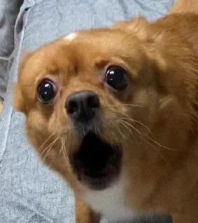 Стикер Хз @SozdaiStickeriBot - 7