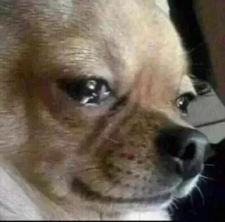 Стикер Хз @SozdaiStickeriBot - 6