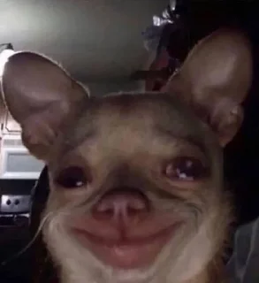 Стикер Хз @SozdaiStickeriBot - 8