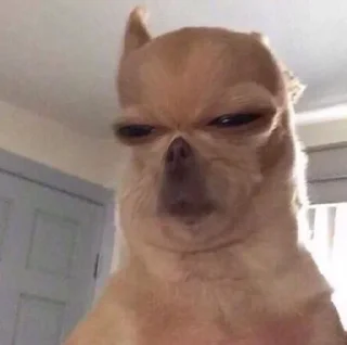 Стикер Хз @SozdaiStickeriBot - 5