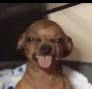 Стикер Хз @SozdaiStickeriBot - 1