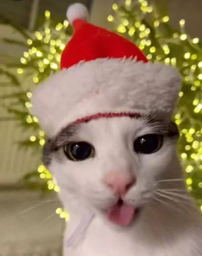 彡 Котики 𖥔 @karomi_stickers - 