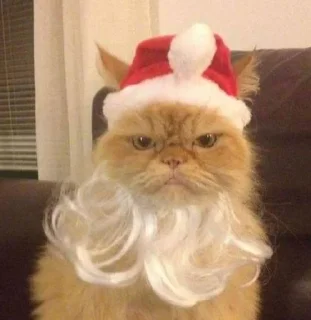 Стикер 彡 Котики 𖥔 @karomi_stickers - 9