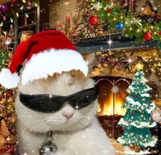 Стикер 彡 Котики 𖥔 @karomi_stickers - 6