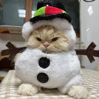 Стикер 彡 Котики 𖥔 @karomi_stickers - 3