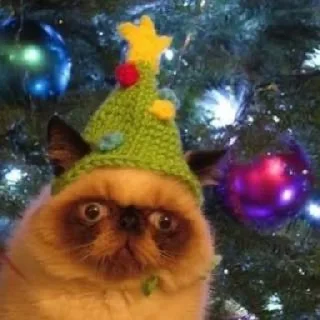 Стикер 彡 Котики 𖥔 @karomi_stickers - 1