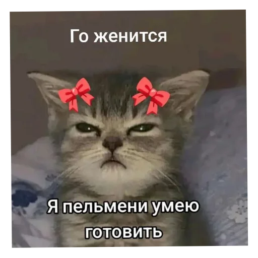 Стикер stik_fufi_by_TgEmodziBot - 1