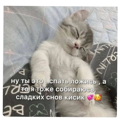 Стикер stik_fufi_by_TgEmodziBot - 1