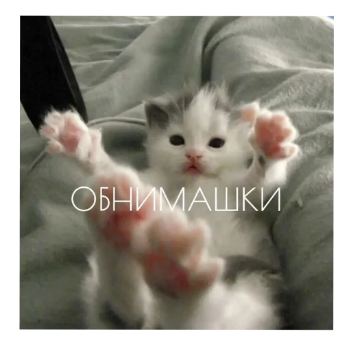 ♡★фуфи★♡ @TgEmodziBot - 