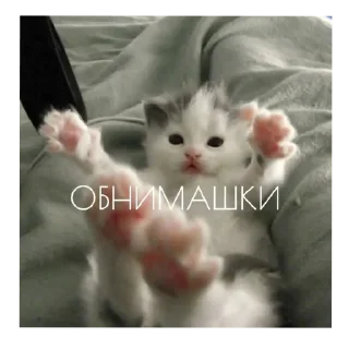 Sticker ♡★фуфи★♡ @TgEmodziBot - 5