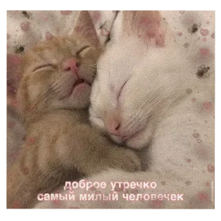 Sticker ♡★фуфи★♡ @TgEmodziBot - 10