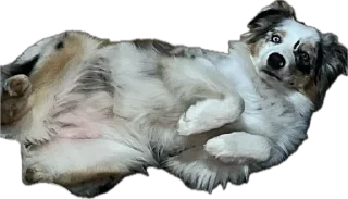 Стикер Мои Буси😍 @TgEmodziBot - 6